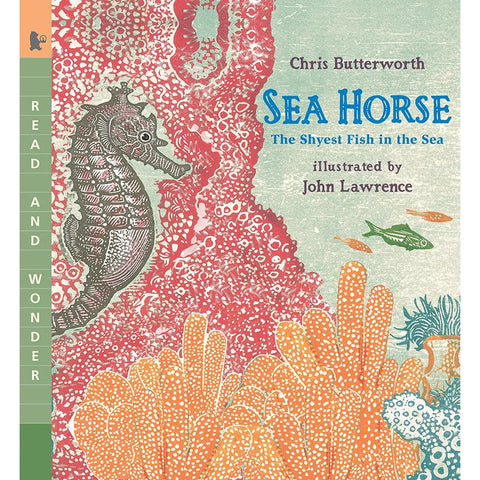 SEA HORSE THE SHYEST FISH IN THE