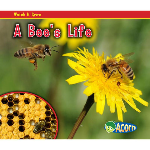 A BEES LIFE