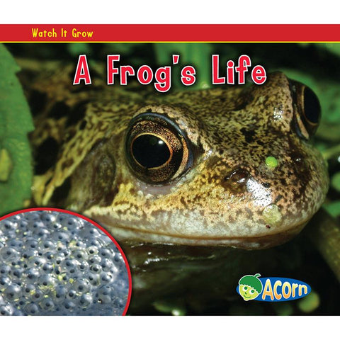 A FROGS LIFE