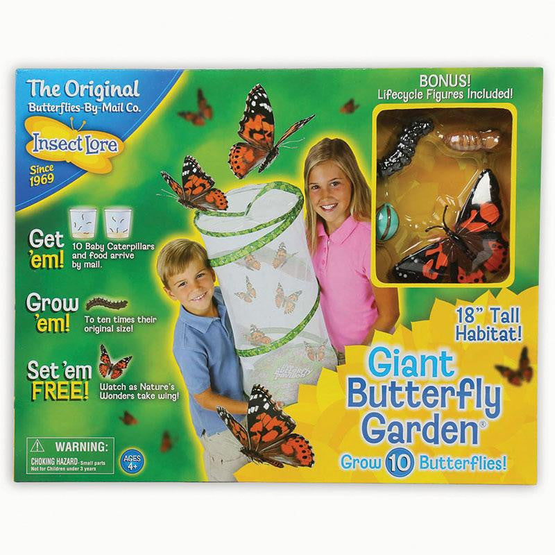GIANT BUTTERFLY GARDEN