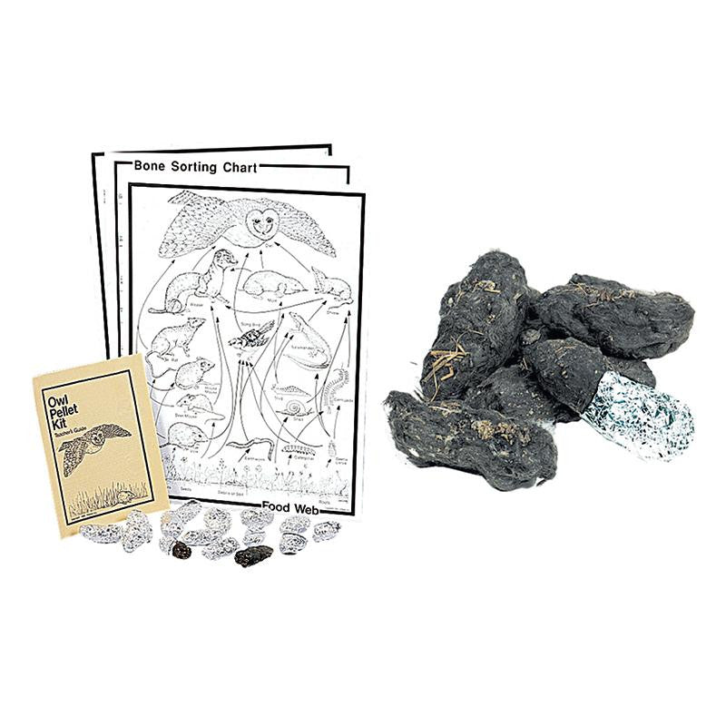 OWL PELLET KIT CLASSROOM KIT