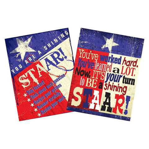 STAAR TEXAS CHART SET