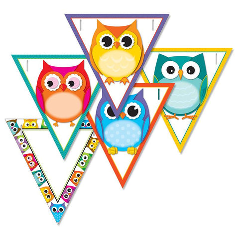 COLORFUL OWLS BANNERS GR PK-12