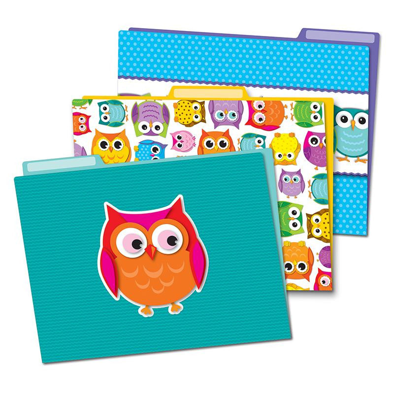 COLORFUL OWLS FOLDERS