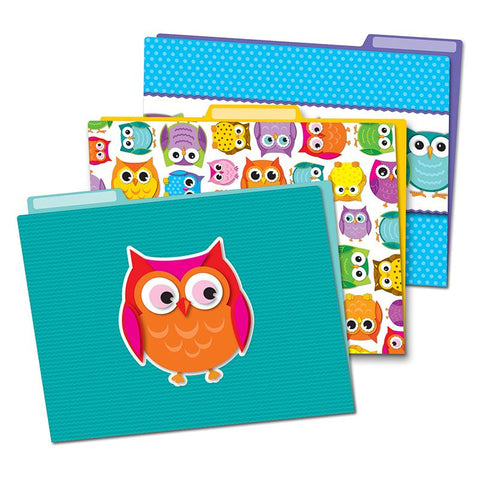 COLORFUL OWLS FOLDERS