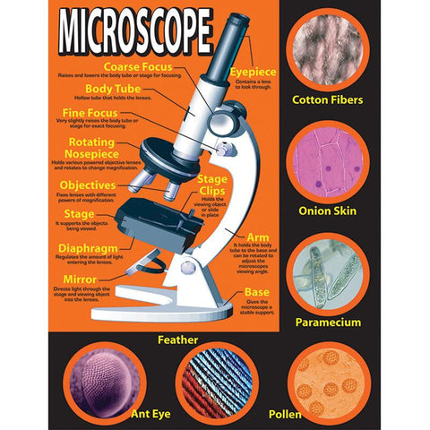 BASIC MICROSCOPE CHARTLET