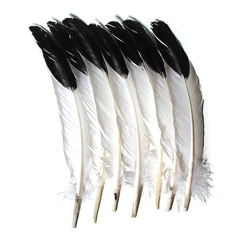 IMITATION EAGLE FEATHERS