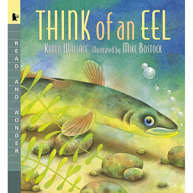 THINK OF AN EEL