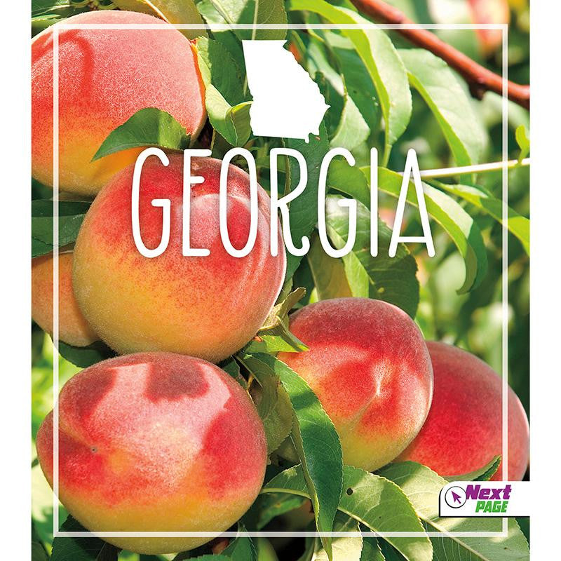 STATE BOOK GEORGIA