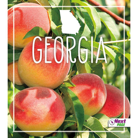 STATE BOOK GEORGIA