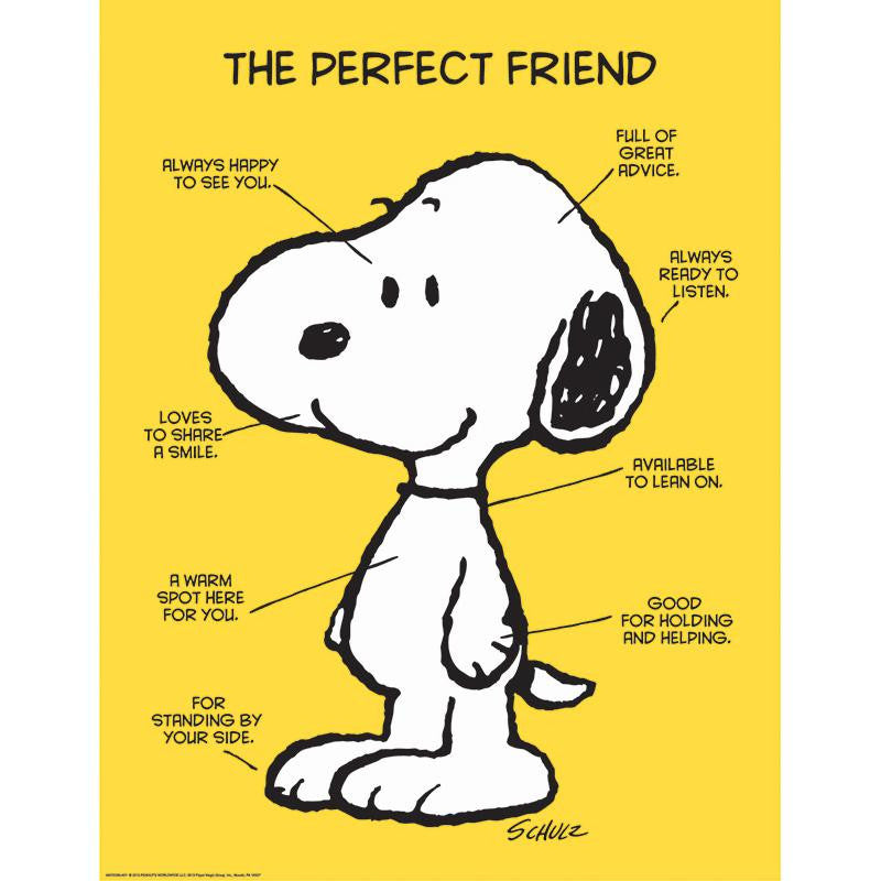 PEANUTS THE PERFECT FRIEND 17X22