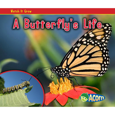 A BUTTERFLYS LIFE