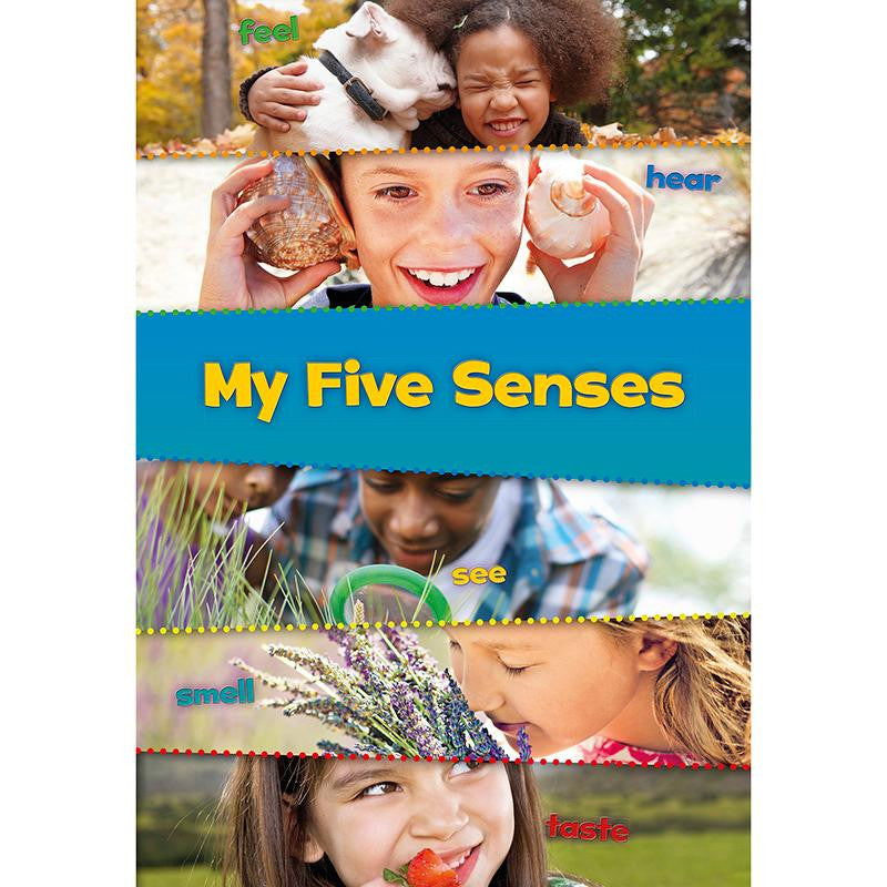 THESE ARE MY SENSES SET OF ALL 5