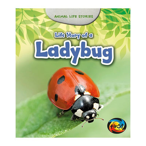 LIFE STORY OF A LADYBUG