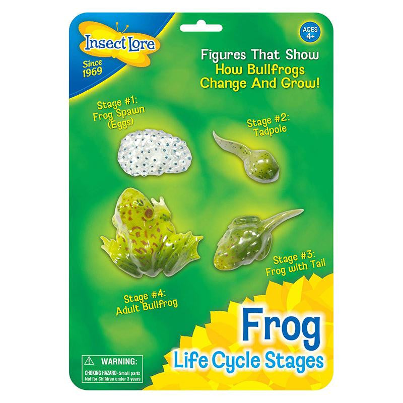 FROG LIFE CYCLE STAGES