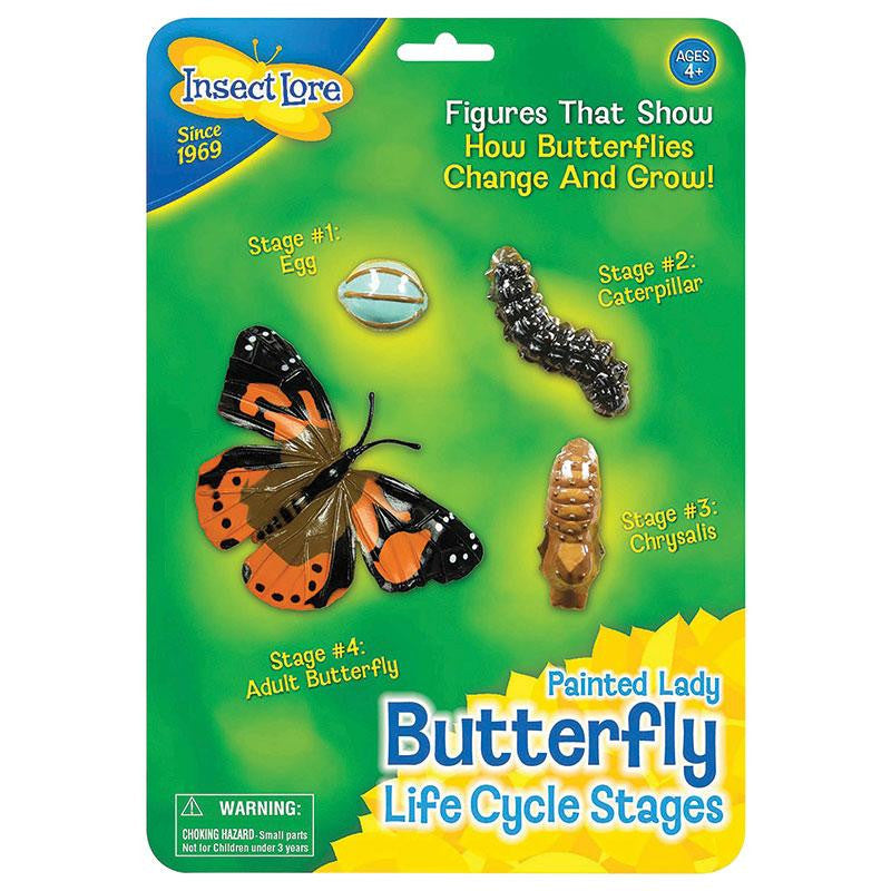 BUTTERFLY LIFE CYCLE STAGES