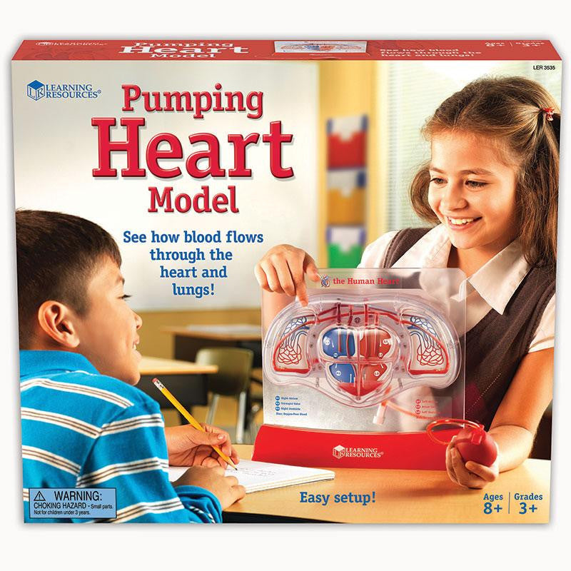 PUMPING HEART MODEL