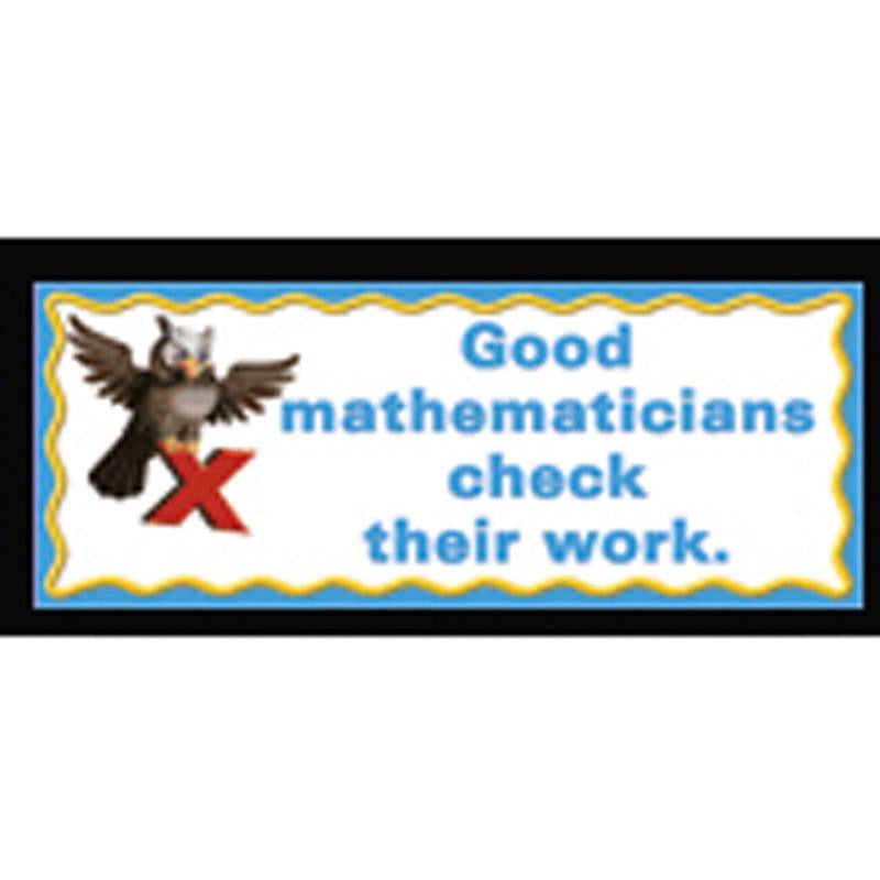 WHAT GOOD MATHEMATICIANS DO