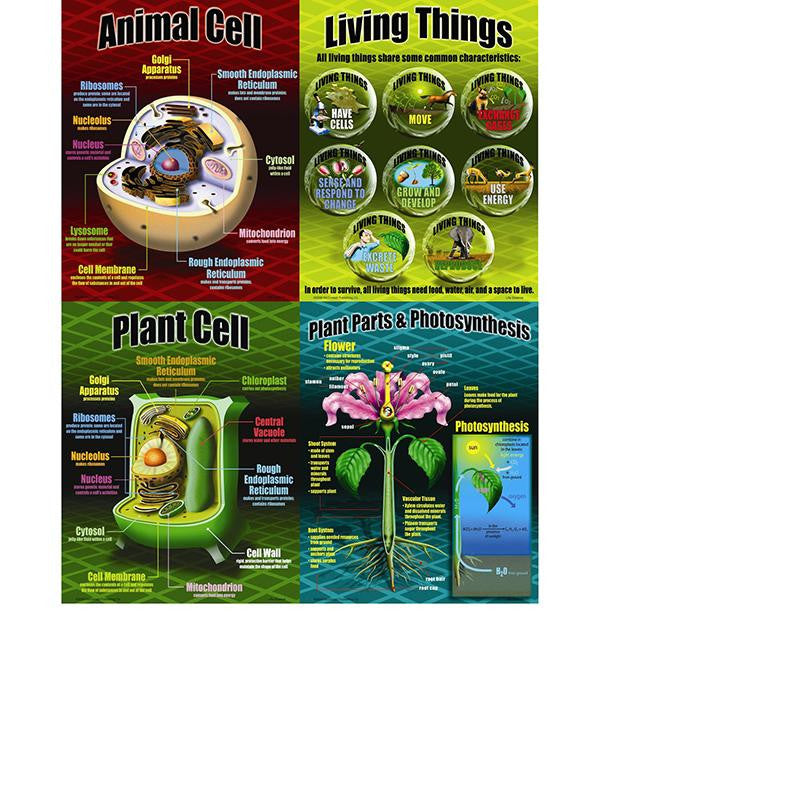 LIFE SCIENCE TEACHING POSTER SET