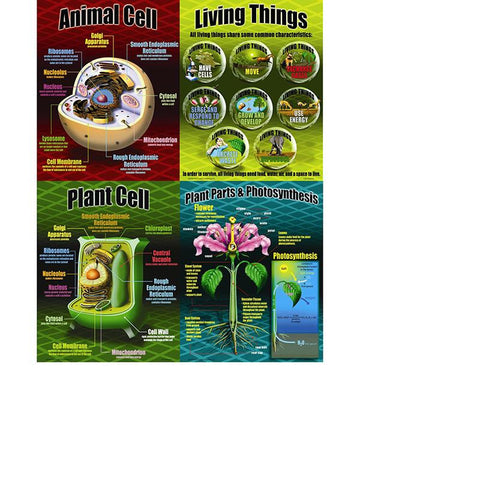 LIFE SCIENCE TEACHING POSTER SET