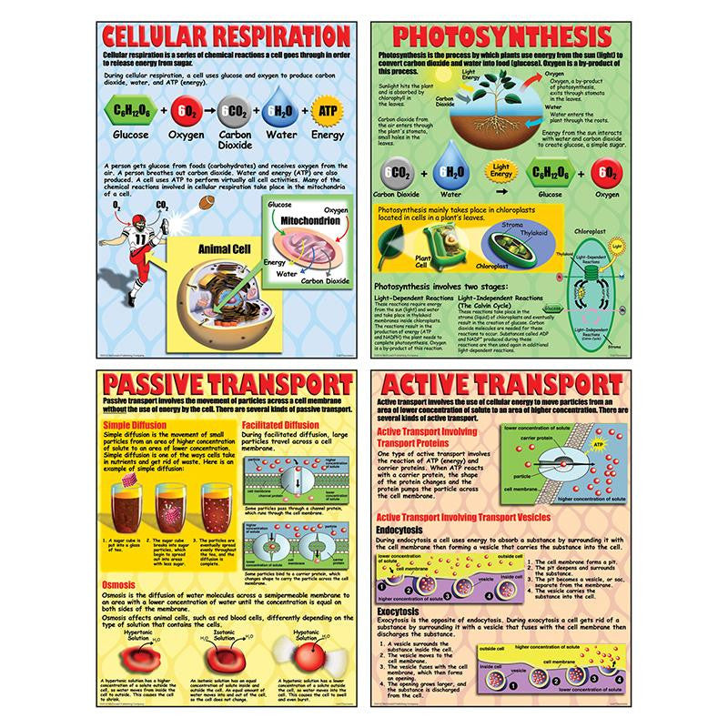 POSTER SET CELL PROCESSES