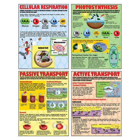 POSTER SET CELL PROCESSES