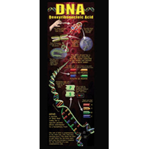 DNA COLOSSAL POSTER