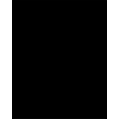 PLASTIC POSTER BOARD 22X28 BLK 25SH