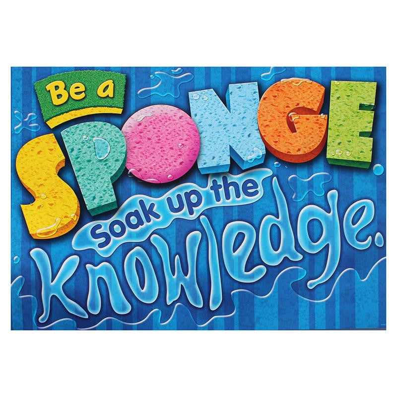 BE A SPONGE SOAK UP THE