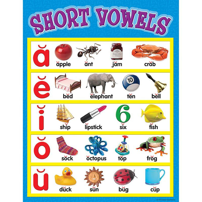 SHORT VOWELS CHART 17 X 22