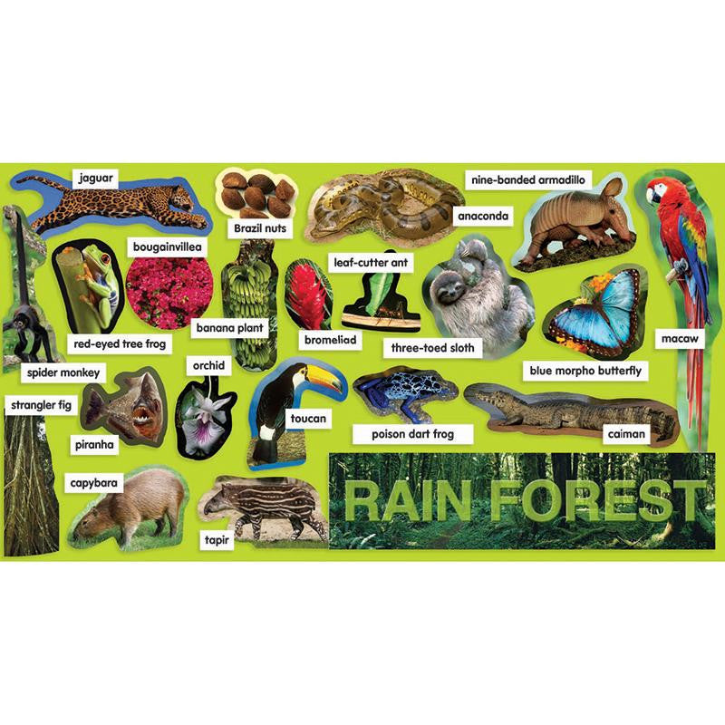 RAINFOREST PLANTS & ANIMALS MINI BB