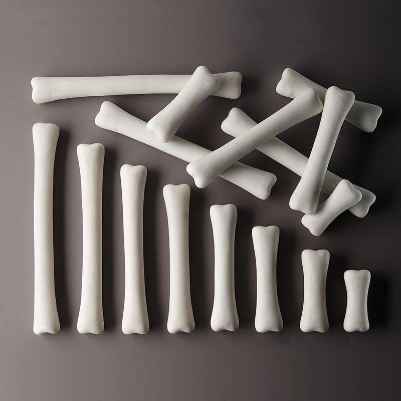 DINOSAUR BONES MATCH & MEASURE SET