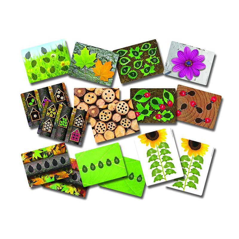 LADYBUGS EARLY NUMBER CARDS